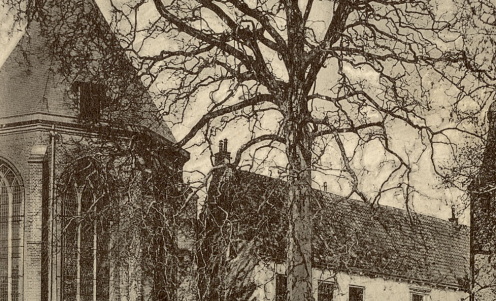 Een zwart/wit foto met twee gebouwen. Links een kerk en rechts voormalige universiteit.. Met op de voorgrond een boom.