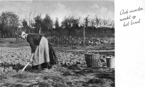 Een zwart/wit foto van een vrouw in kledingdracht harkend op een stuk land. Rechts naast haar staat een mand en een emmer Op de achtergrond staat een rij bomen. Rechtsboven staat:"Ook moeder werkt op het land".