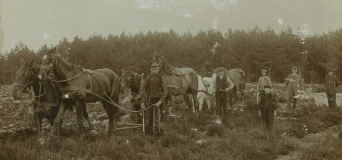 Een oude foto met mannen en die naast paaden staan op het land.