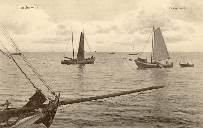 Een sepia prentbriefkaart met boten varend op het water. Als tekst staat er op: Harderwijk Zeezicht.